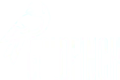 Goldfinch